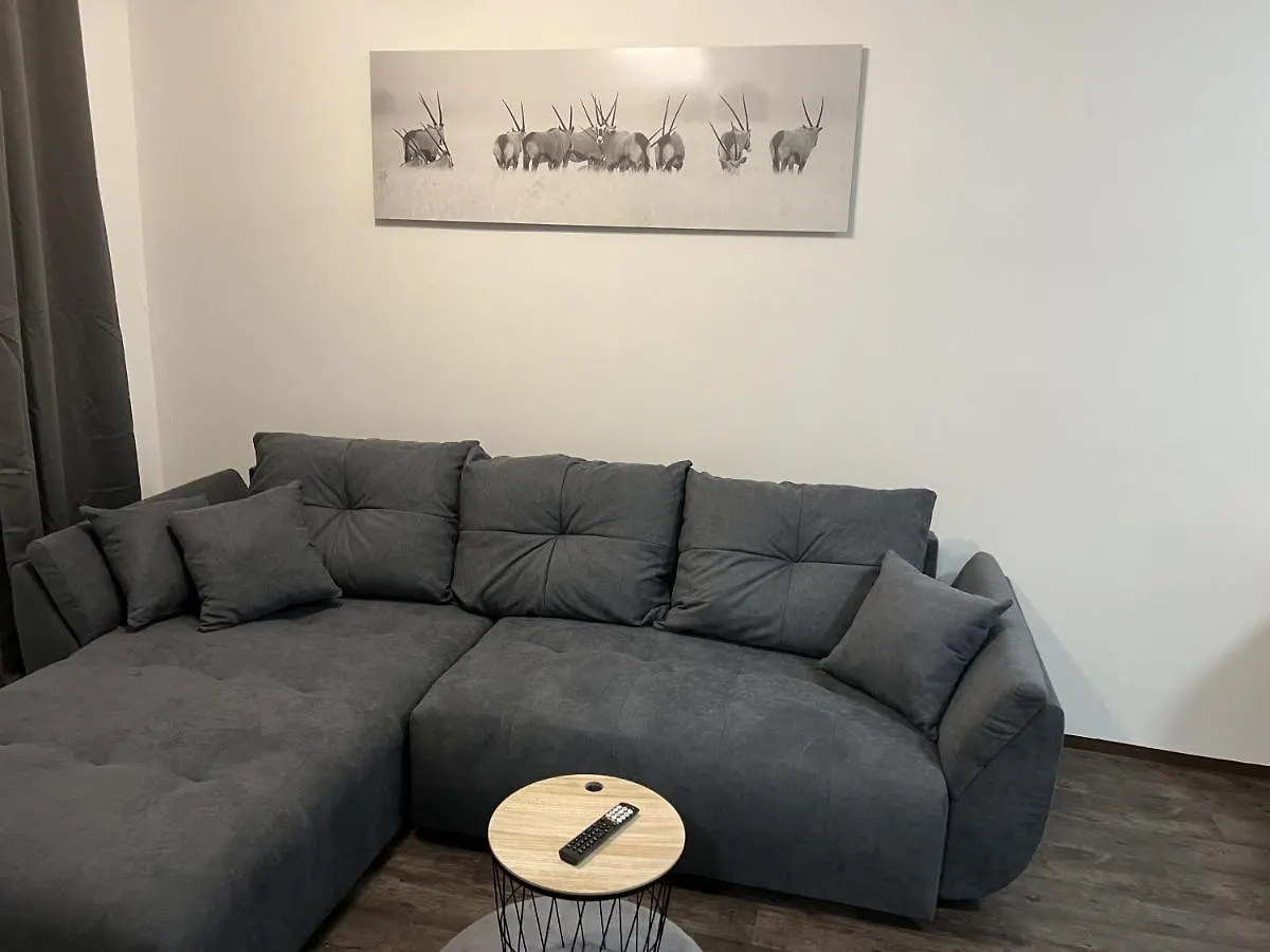 Apartment Wohnung In Altstadtnaehe Nuremberg